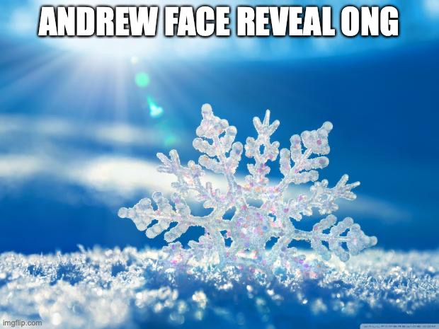 snowflake | ANDREW FACE REVEAL ONG | image tagged in snowflake | made w/ Imgflip meme maker