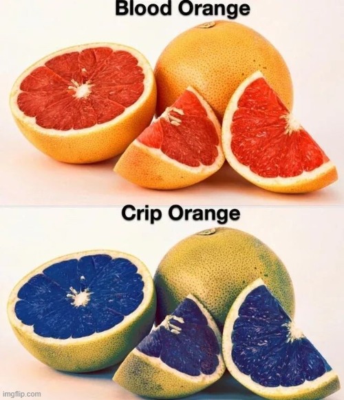 image tagged in puns | made w/ Imgflip meme maker