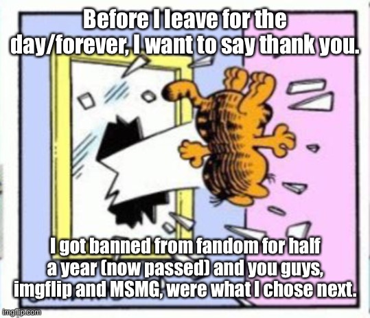 Garfield gets thrown out of a window | Before I leave for the day/forever, I want to say thank you. I got banned from fandom for half a year (now passed) and you guys, imgflip and MSMG, were what I chose next. | image tagged in garfield gets thrown out of a window | made w/ Imgflip meme maker