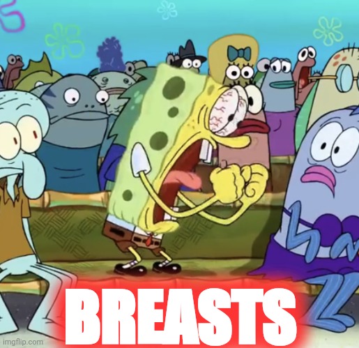Spongebob Yelling | BREASTS | image tagged in spongebob yelling | made w/ Imgflip meme maker