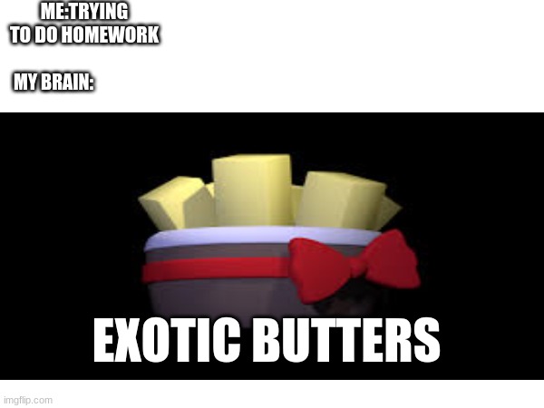 Our Very First Meme, from Alex, Alex and Hunter! | ME:TRYING TO DO HOMEWORK; MY BRAIN:; EXOTIC BUTTERS | made w/ Imgflip meme maker