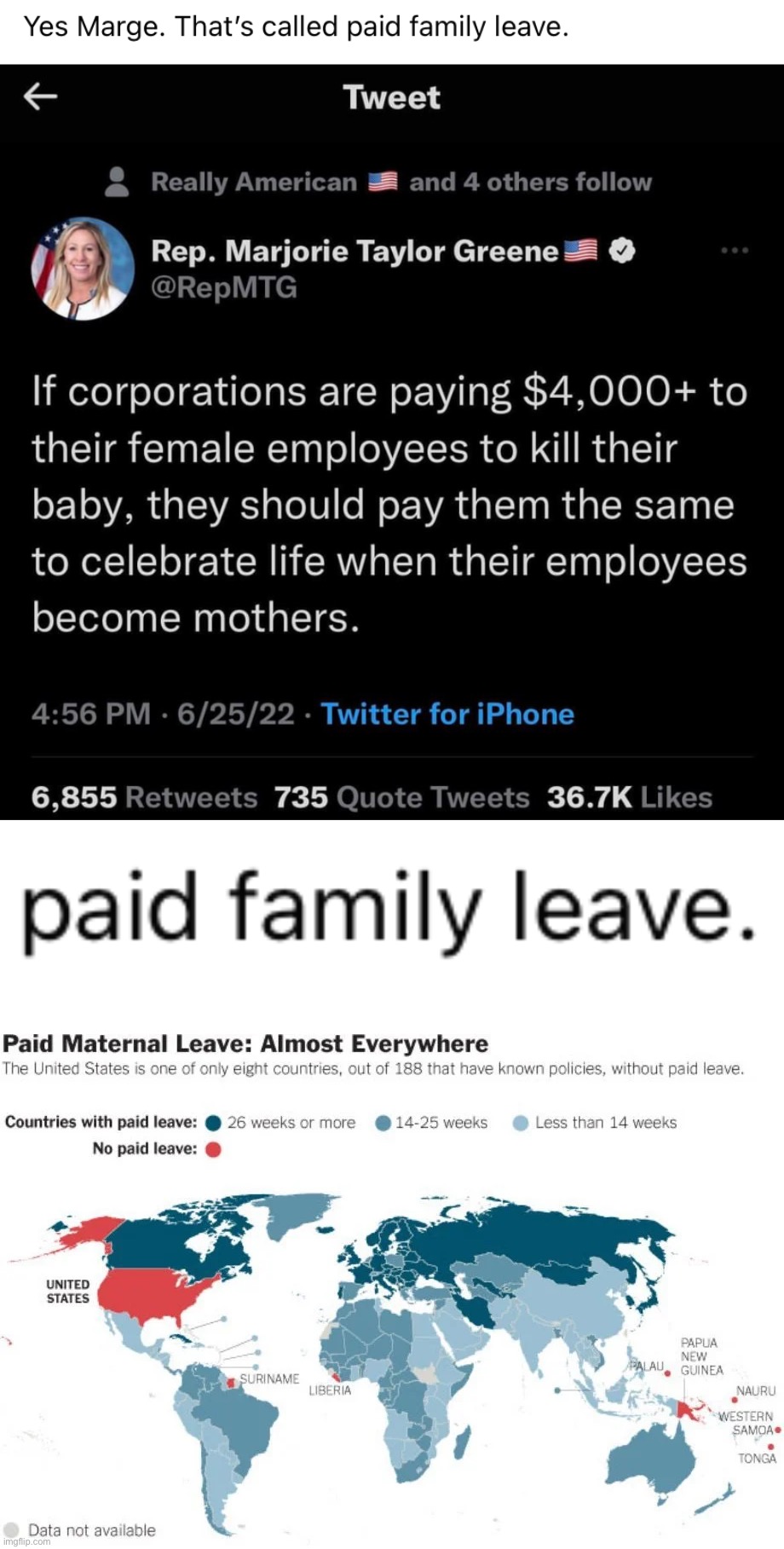 image tagged in mtg paid family leave | made w/ Imgflip meme maker