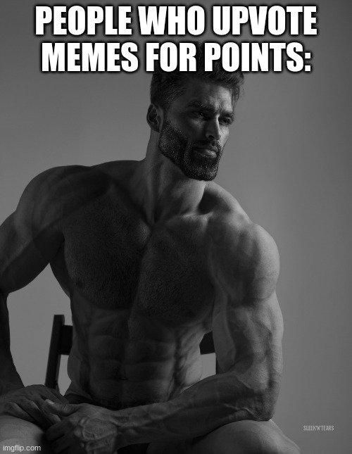 Downvotes: exist | PEOPLE WHO UPVOTE MEMES FOR POINTS: | image tagged in giga chad | made w/ Imgflip meme maker
