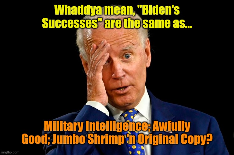 The oxymoron list grows | Whaddya mean, "Biden's Successes" are the same as... Military Intelligence; Awfully Good; Jumbo Shrimp 'n Original Copy? | made w/ Imgflip meme maker