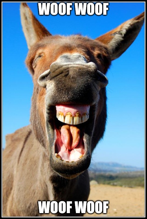 Happy Donkey | WOOF WOOF; WOOF WOOF | image tagged in happy donkey | made w/ Imgflip meme maker