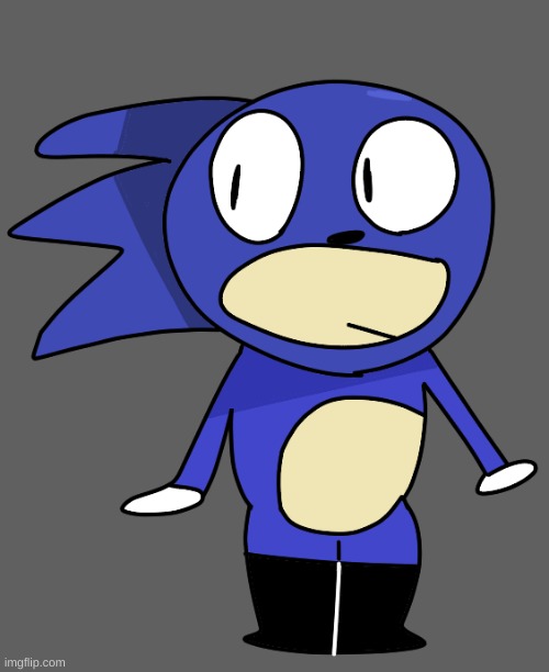 femboy sanic (I regret nothing) | made w/ Imgflip meme maker
