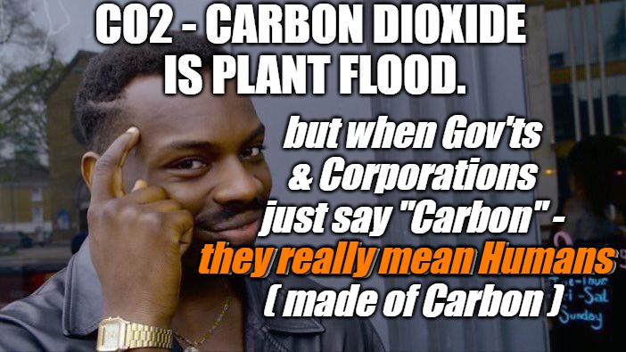 Carbon is You | CO2 - CARBON DIOXIDE
 IS PLANT FLOOD. but when Gov'ts & Corporations just say "Carbon" - they really mean Humans 
( made of Carbon ); they really mean Humans | image tagged in carbon dioxide,co2,corporations,climate change,government | made w/ Imgflip meme maker
