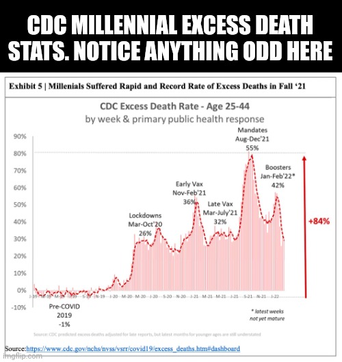 CDC MILLENNIAL EXCESS DEATH STATS. NOTICE ANYTHING ODD HERE | made w/ Imgflip meme maker