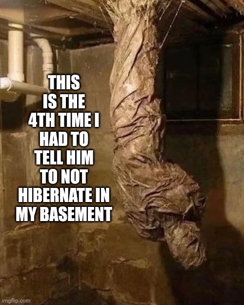 THIS IS THE 4TH TIME I HAD TO TELL HIM TO NOT HIBERNATE IN MY BASEMENT | made w/ Imgflip meme maker