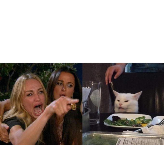 High Quality woman yelling at cat Blank Meme Template
