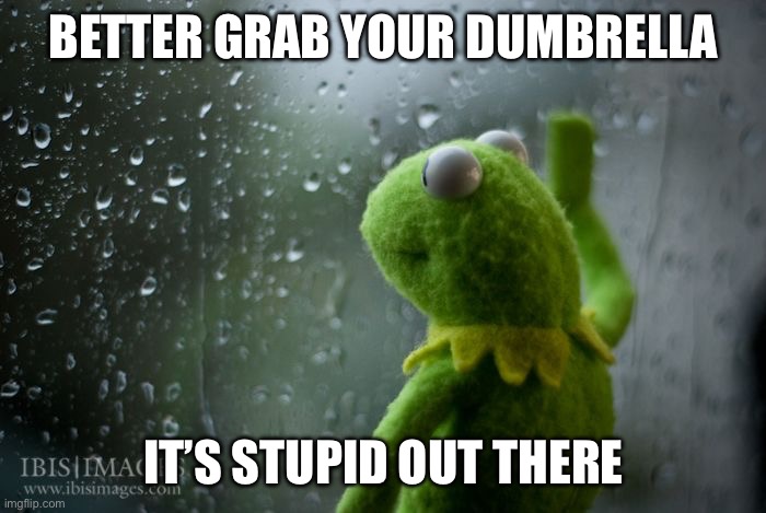 Dumbrella | BETTER GRAB YOUR DUMBRELLA; IT’S STUPID OUT THERE | image tagged in kermit window | made w/ Imgflip meme maker
