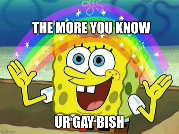 spongebob rainbow | THE MORE YOU KNOW; UR GAY BISH | image tagged in spongebob rainbow | made w/ Imgflip meme maker