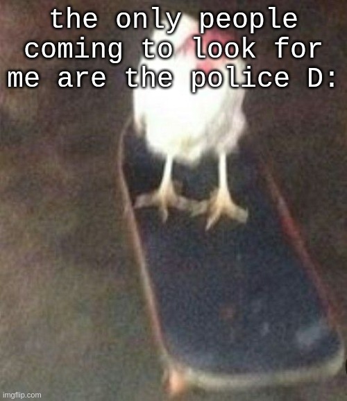Dog on skateboard | the only people coming to look for me are the police D: | image tagged in dog on skateboard | made w/ Imgflip meme maker