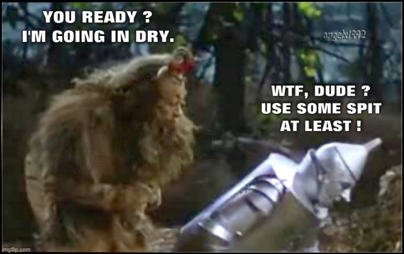 image tagged in wizard of oz,tin man,lion,lgbtq,lube,spit lube | made w/ Imgflip meme maker