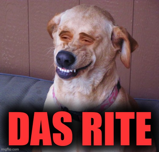 Dog smile | DAS RITE | image tagged in dog smile | made w/ Imgflip meme maker