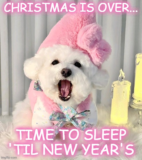 Time to sleep | CHRISTMAS IS OVER... TIME TO SLEEP 'TIL NEW YEAR'S | image tagged in christmas,new years,puppy,sleep,cute puppies | made w/ Imgflip meme maker