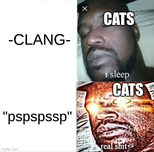 Sleeping Shaq Meme | CATS; -CLANG-; CATS; "pspspssp" | image tagged in memes,sleeping shaq | made w/ Imgflip meme maker