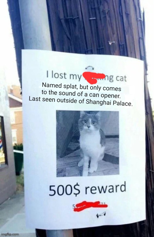 Stop it. Get some help | Named splat, but only comes to the sound of a can opener. Last seen outside of Shanghai Palace. | image tagged in stop it get some help,chinese food,cats | made w/ Imgflip meme maker