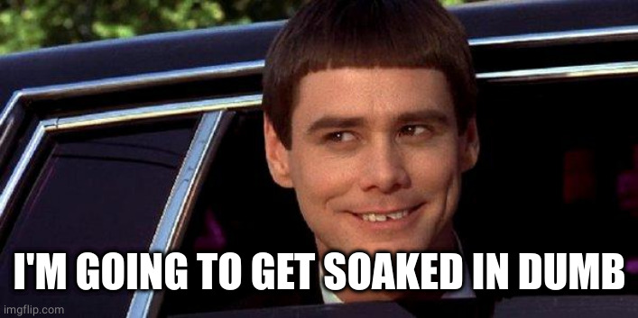 dumb and dumber | I'M GOING TO GET SOAKED IN DUMB | image tagged in dumb and dumber | made w/ Imgflip meme maker