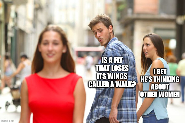 He must be thinking of other women | IS A FLY THAT LOSES ITS WINGS CALLED A WALK? I BET HE'S THINKING ABOUT OTHER WOMEN | image tagged in memes,distracted boyfriend,i bet he's thinking about other women | made w/ Imgflip meme maker
