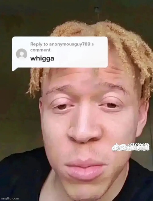 Whigga | image tagged in memes,shitpost,msmg,oh wow are you actually reading these tags | made w/ Imgflip meme maker