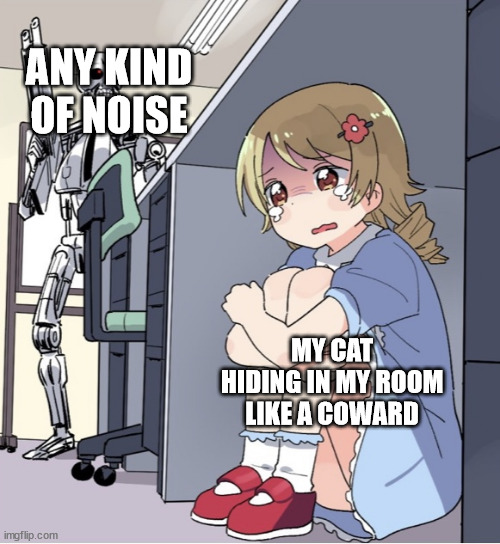 Anime Girl Hiding from Terminator | ANY KIND OF NOISE MY CAT HIDING IN MY ROOM LIKE A COWARD | image tagged in anime girl hiding from terminator | made w/ Imgflip meme maker