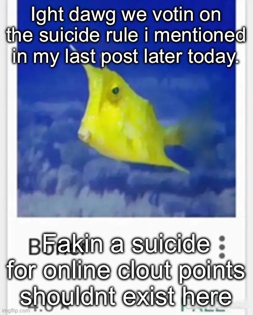 Boner | Ight dawg we votin on the suicide rule i mentioned in my last post later today. Fakin a suicide for online clout points shouldnt exist here | image tagged in boner | made w/ Imgflip meme maker