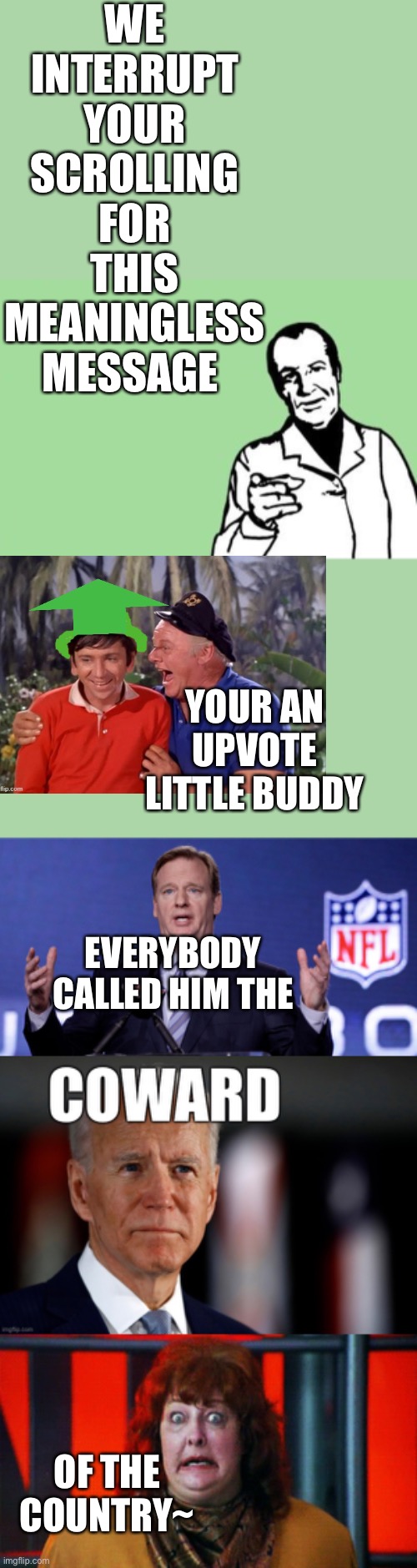 Cotus | WE INTERRUPT YOUR SCROLLING FOR THIS MEANINGLESS MESSAGE; YOUR AN UPVOTE LITTLE BUDDY; EVERYBODY CALLED HIM THE; OF THE COUNTRY~ | image tagged in blank reason,le goof of de nfl,cotus,2 weeks | made w/ Imgflip meme maker