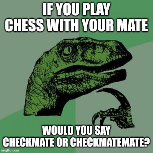 Philosoraptor Meme | IF YOU PLAY CHESS WITH YOUR MATE; WOULD YOU SAY CHECKMATE OR CHECKMATEMATE? | image tagged in memes,philosoraptor | made w/ Imgflip meme maker