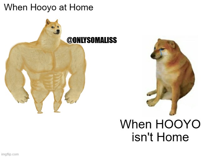 Somali Memes | When Hooyo at Home; @ONLYSOMALISS; When HOOYO isn't Home | image tagged in memes,buff doge vs cheems | made w/ Imgflip meme maker