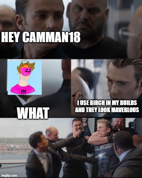 Very good... very good. | HEY CAMMAN18; I USE BIRCH IN MY BUILDS AND THEY LOOK MAVERLOUS; WHAT | image tagged in captian america being beated | made w/ Imgflip meme maker