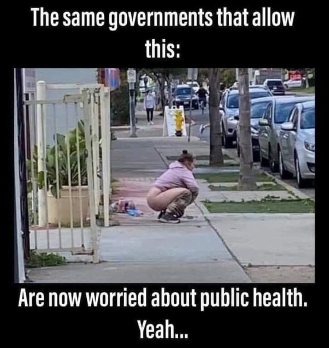 Suddenly worried about Public Health in California | image tagged in public health,california,commiefornia,crush the commies,defecating on the streets,girls poop too | made w/ Imgflip meme maker