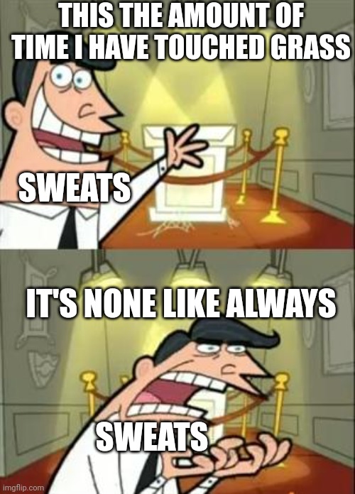 Every sweat in games | THIS THE AMOUNT OF TIME I HAVE TOUCHED GRASS; SWEATS; IT'S NONE LIKE ALWAYS; SWEATS | image tagged in memes,this is where i'd put my trophy if i had one | made w/ Imgflip meme maker