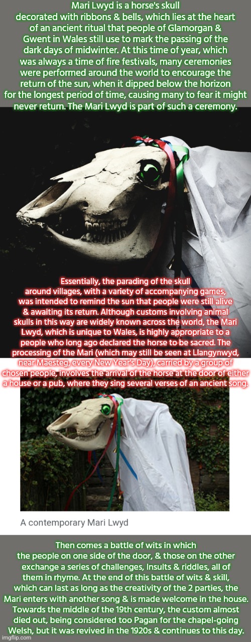 New Year in Wales | Mari Lwyd is a horse's skull decorated with ribbons & bells, which lies at the heart of an ancient ritual that people of Glamorgan & Gwent in Wales still use to mark the passing of the dark days of midwinter. At this time of year, which was always a time of fire festivals, many ceremonies were performed around the world to encourage the return of the sun, when it dipped below the horizon for the longest period of time, causing many to fear it might
never return. The Mari Lwyd is part of such a ceremony. Essentially, the parading of the skull around villages, with a variety of accompanying games, was intended to remind the sun that people were still alive & awaiting its return. Although customs involving animal skulls in this way are widely known across the world, the Mari Lwyd, which is unique to Wales, is highly appropriate to a people who long ago declared the horse to be sacred. The processing of the Mari (which may still be seen at Llangynwyd, near Maesteg, every New Year's Day), carried by a group of
chosen people, involves the arrival of the horse at the door of either
a house or a pub, where they sing several verses of an ancient song. Then comes a battle of wits in which the people on one side of the door, & those on the other exchange a series of challenges, Insults & riddles, all of them in rhyme. At the end of this battle of wits & skill, which can last as long as the creativity of the 2 parties, the
Mari enters with another song & is made welcome in the house.
Towards the middle of the 19th century, the custom almost
died out, being considered too Pagan for the chapel-going
Welsh, but it was revived in the 1920s & continues to this day. | image tagged in mari lwyd,heathen,winter | made w/ Imgflip meme maker