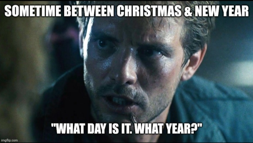 Christmas holiday | image tagged in terminator | made w/ Imgflip meme maker