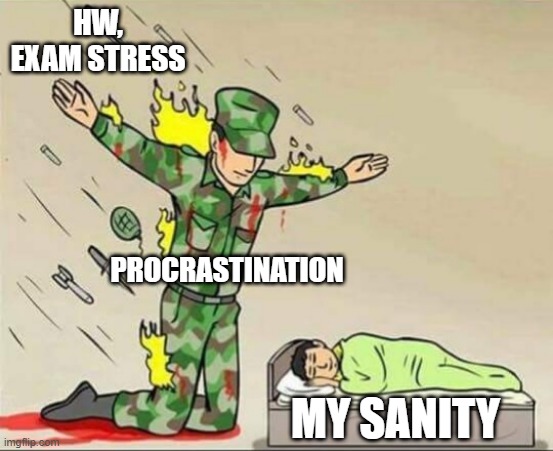 Homework n exam stress | HW, EXAM STRESS; PROCRASTINATION; MY SANITY | image tagged in soldier protecting sleeping child | made w/ Imgflip meme maker