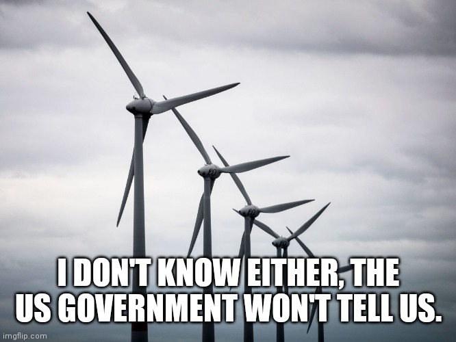 How Many Eagles are killed by wind turbines? | I DON'T KNOW EITHER, THE US GOVERNMENT WON'T TELL US. | image tagged in wind turbines,bird killers,we love,save the earth,fleas | made w/ Imgflip meme maker