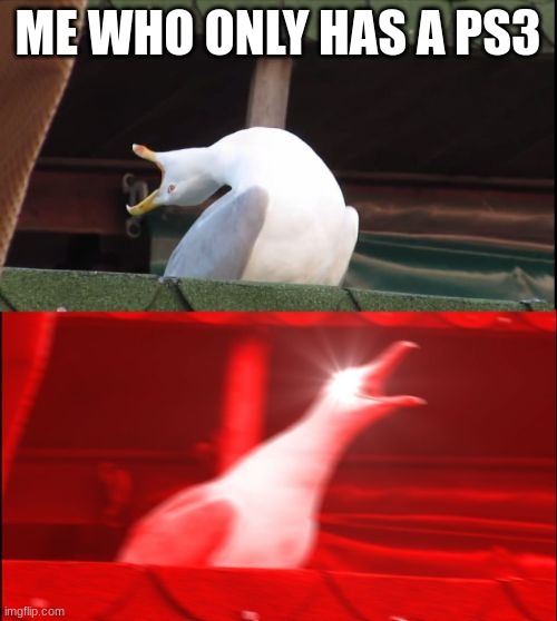 screaming seagull | ME WHO ONLY HAS A PS3 | image tagged in screaming seagull | made w/ Imgflip meme maker