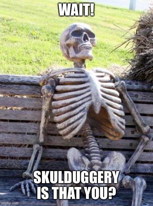 Please comment | WAIT! SKULDUGGERY IS THAT YOU? | image tagged in memes,waiting skeleton | made w/ Imgflip meme maker