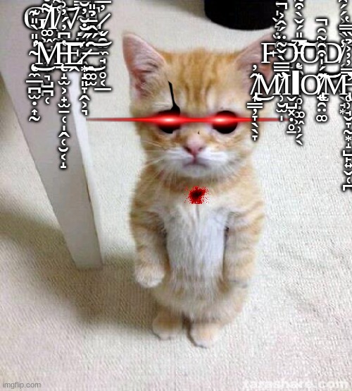 Cute Cat | G̸͚͖̺̮͎̼͉̺̪̜͌̊I̸̛͕̼͎̥̜͑̃͛̾̌̑͝͝V̴̡̛̯̺̣̥͖̿͜E̷̬̯̫̼̘̙̥͔̲̓̅̔́͆ ̴̨̣̼̲̪̫̣͎̰̍̎̀̎͊̕͘͜M̵̨̲̝̫͕̟̫̠̜̩̭̜̮͔̝̔͆̓́̓͗͂̆̾͝Ḙ̷͙̝͈̞̭͕͉̈́̐̆̓̆̏͑͘͜ ̶̭͚̫̑̋̂̄̉̎̀̏̄̈̐̐̿͝; F̶̤͑̐͛̌̍̔̐̍̑̈́̚͠Ǫ̵̨͙̯͈͕̜̥̣͚͖̹̗̖̅̎́̌̀͒̃̒̕͠͝O̴̜͓̙̐D̸͔̙̻̣̮̖̘͙̾̀̆͐́́̑͑͊̊̈̚͝ ̸̢͎͇̦̞̖̖̞̂̓͜M̸̛̹̮̫̩̏̿̅̀̌̃̈́̂͐̚͘̕Ι̬̺͓̣̥̠ΙƠ̸̢̨̠̯̤͚̋́̍͒̑͂̑̚͝͝͝M̵̢̛̛̥̹̘̬̞̰͙̝̺̙͍̬̜̪̿̓̓͐̉̏̿̔͝ | image tagged in memes,cute cat | made w/ Imgflip meme maker