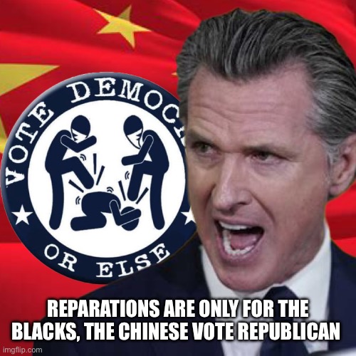 Only slaves in California won’t get reparations | REPARATIONS ARE ONLY FOR THE BLACKS, THE CHINESE VOTE REPUBLICAN | image tagged in vote d or else,chinese,funny memes,memes | made w/ Imgflip meme maker