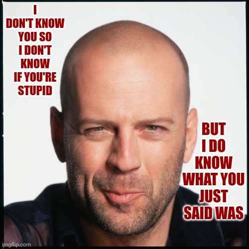 You May Not Be Stupid But What You Just Said Was |  I DON'T KNOW YOU SO I DON'T KNOW IF YOU'RE STUPID; BUT I DO KNOW WHAT YOU JUST SAID WAS | image tagged in bruce willis smug,stupid,special kind of stupid,human stupidity,test your stupidity,memes | made w/ Imgflip meme maker