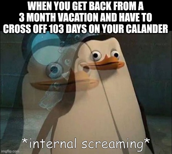 Meme #297 | WHEN YOU GET BACK FROM A 3 MONTH VACATION AND HAVE TO CROSS OFF 103 DAYS ON YOUR CALANDER | image tagged in private internal screaming,internal screaming,memes,vacation,calendar,time | made w/ Imgflip meme maker