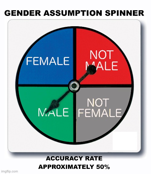 Take Your Chances | image tagged in gender bender,gender wars,chart,spinner | made w/ Imgflip meme maker