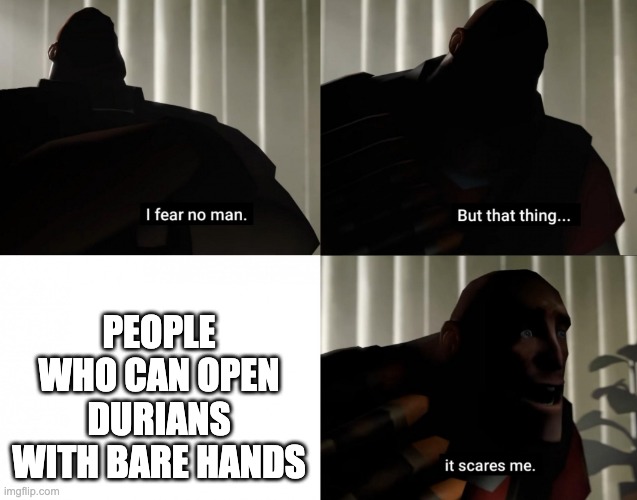hehe |  PEOPLE WHO CAN OPEN DURIANS WITH BARE HANDS | image tagged in i fear no man but that thing it scares me,durian,meme man stronk | made w/ Imgflip meme maker