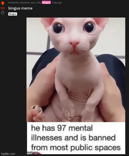 holy shit 125 updoots | made w/ Imgflip meme maker