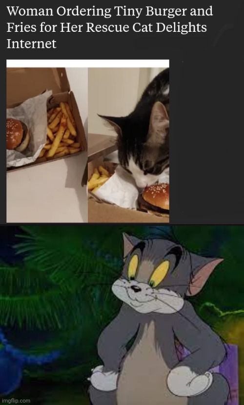 Satisfied cat | image tagged in tom looking satisfied,cats,cat,memes,burger,fries | made w/ Imgflip meme maker