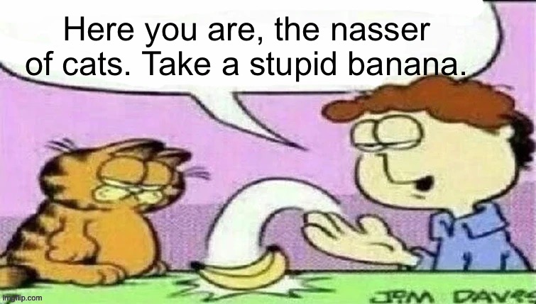 Banan | Here you are, the nasser of cats. Take a stupid banana. | image tagged in banan | made w/ Imgflip meme maker