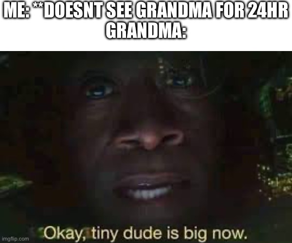 He big now | ME: **DOESNT SEE GRANDMA FOR 24HR
GRANDMA: | image tagged in grandma | made w/ Imgflip meme maker