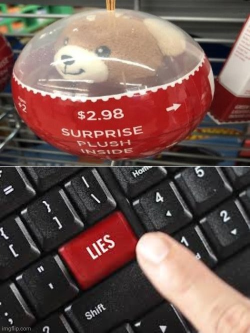 Not a surprise, stuffed bear | image tagged in lies,stuffed bear,reposts,repost,memes,liar | made w/ Imgflip meme maker